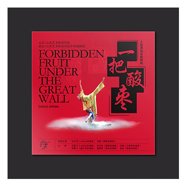 一把酸棗CD光盤(pán)套