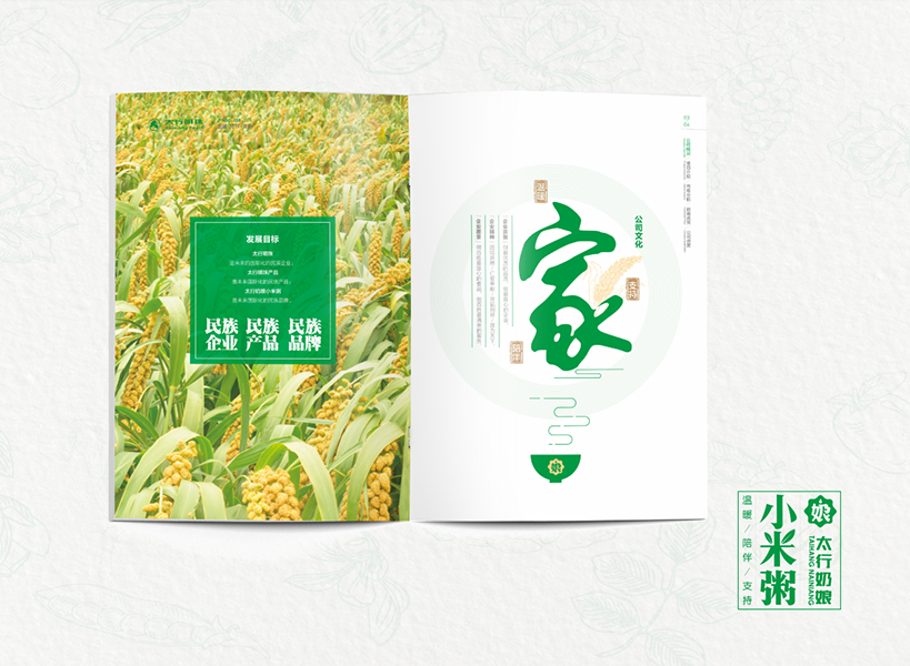 基因印刷雜糧宣傳畫冊(cè)